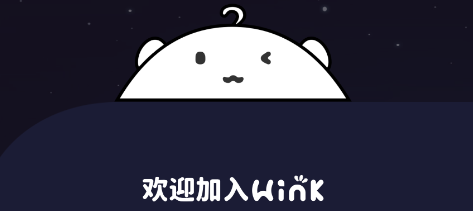 Wink元宇宙社交